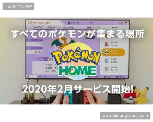 006足球比赛直播平台全新体验尽享精彩赛事直播与互动乐趣