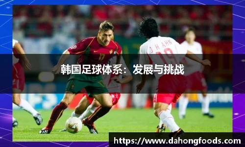 韩国足球体系：发展与挑战